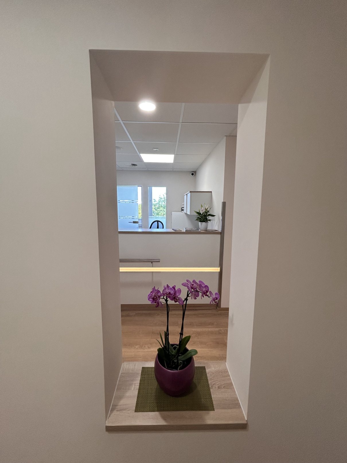 4 Zimmer Praxis im Leipziger Westen 2786 (13)